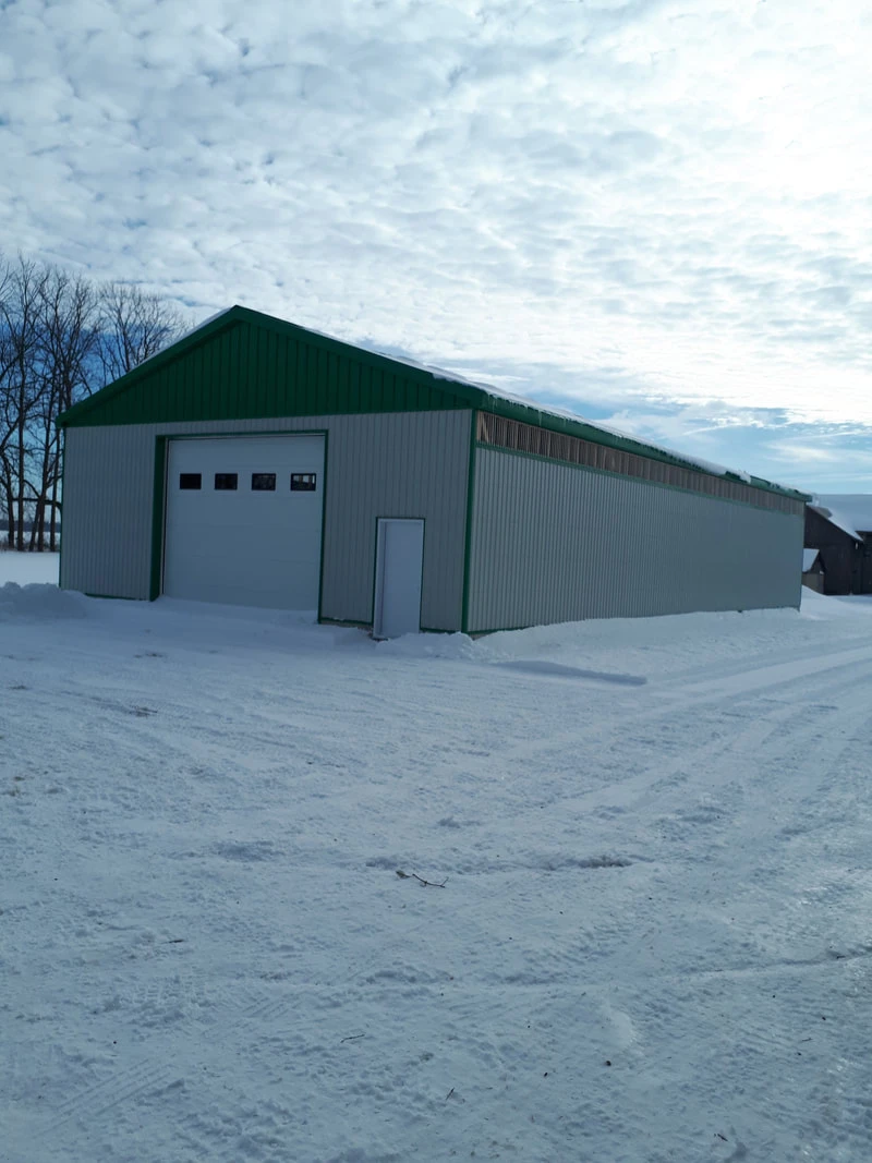 New Drive Shed (Natural Light Eaves)